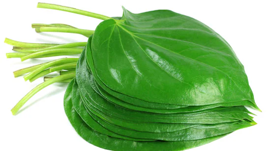 betel leaf