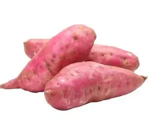 Sweet Potato