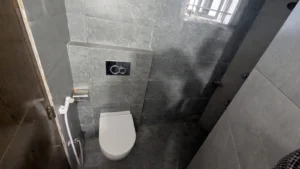SSGZ Property 2D